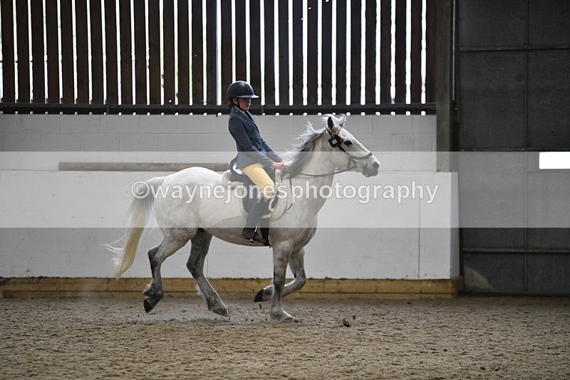 WJ5_7920 - Class 13 Ridden Part Breed