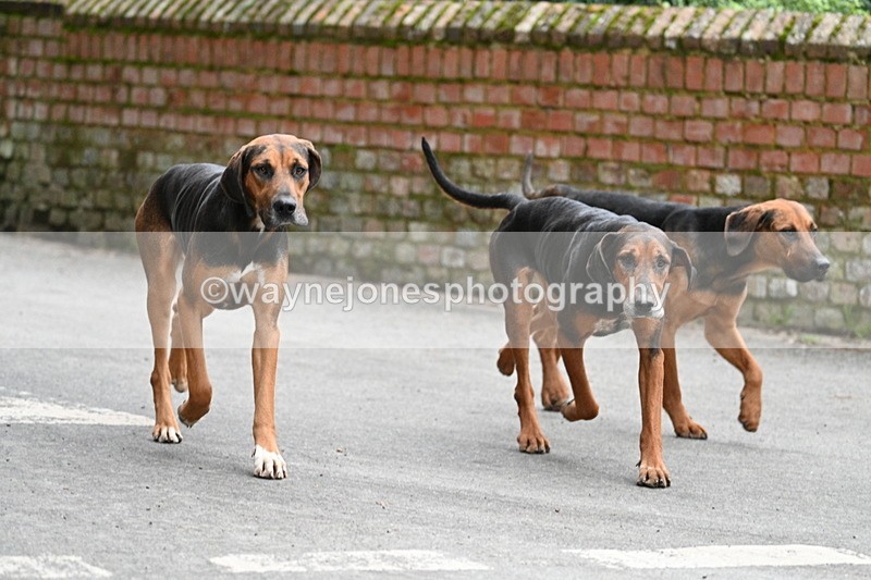 WJ7_1040 - Pub Corner