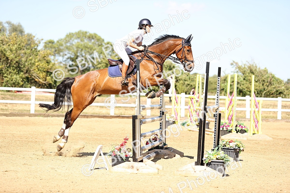 SBM_015513 - Class 16 - Senior foxhunter - 1.20m Open