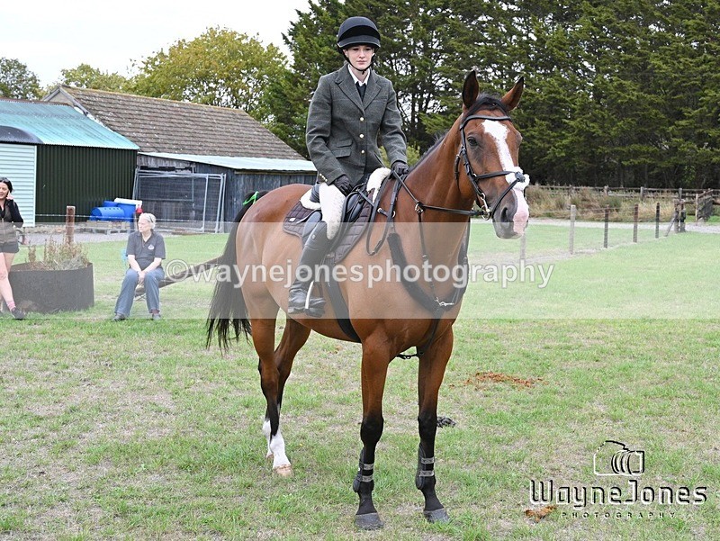 WJ7_0680 - Berks & Bucks Hound Exercise Blewbury 13-09-26