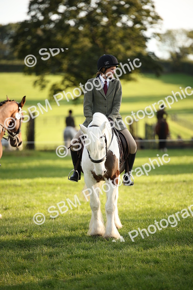 SBM_54413 - S27 - Mature Veteran - Ridden