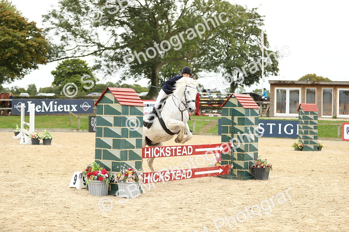 SBM_63154 - Supreme championship 75cm 80cm