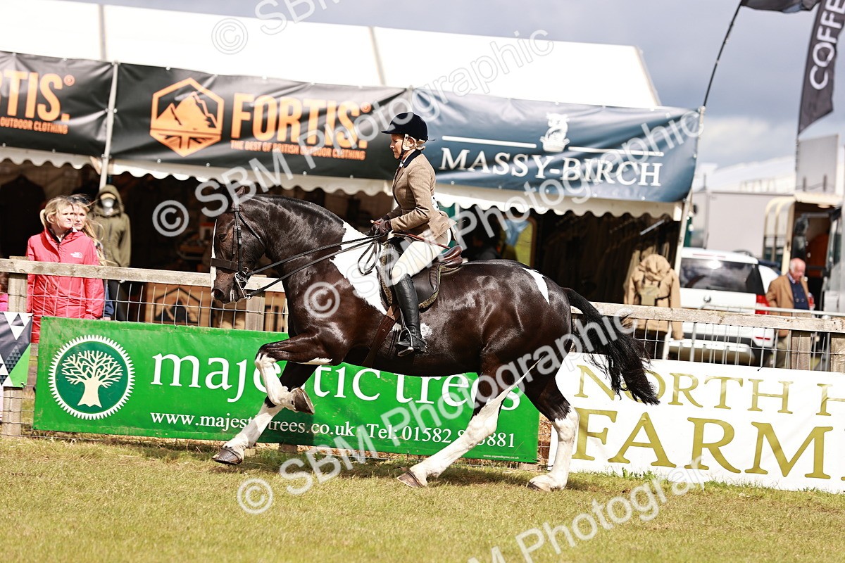 SBM_13122 - Class 85-87 - RIHS Cobs