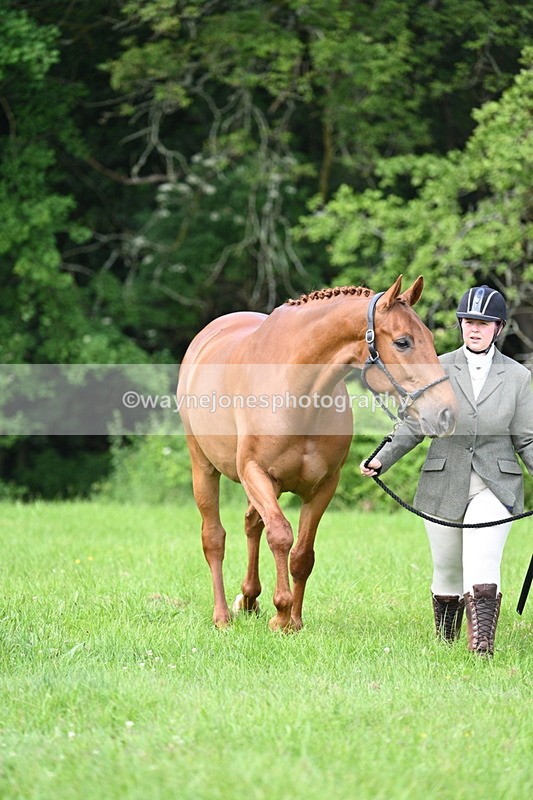 WJ7_0988 - Class 11 Condition & Turnout