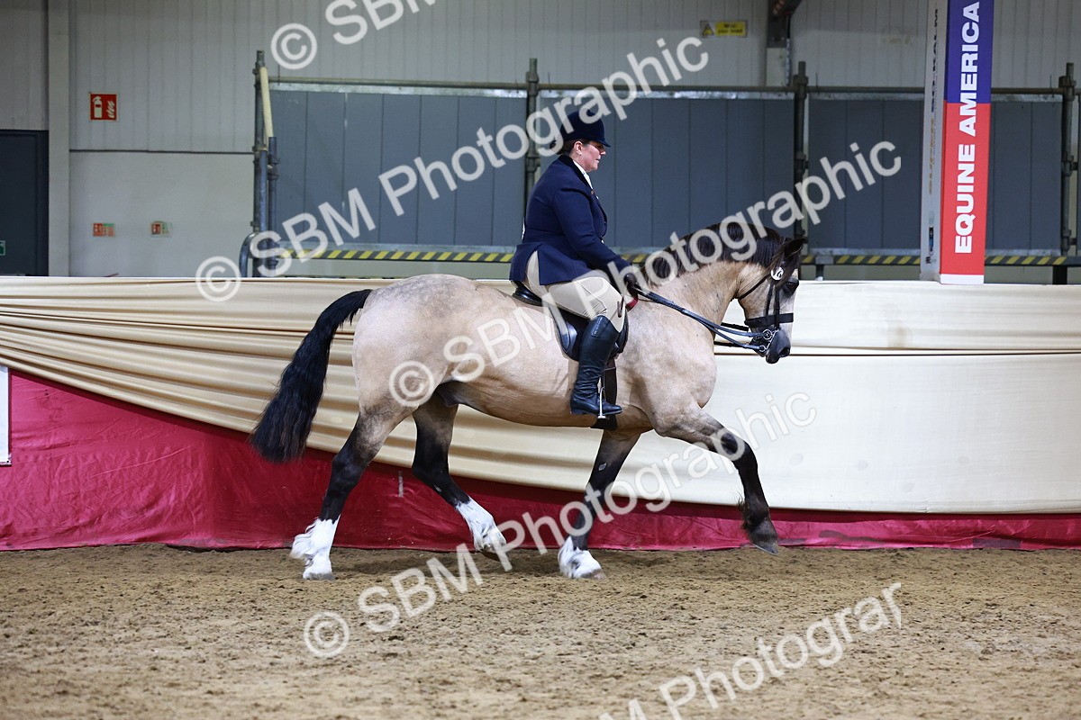 SBM_23606 - class 906 - Supreme Final - Ridden Pre Vet