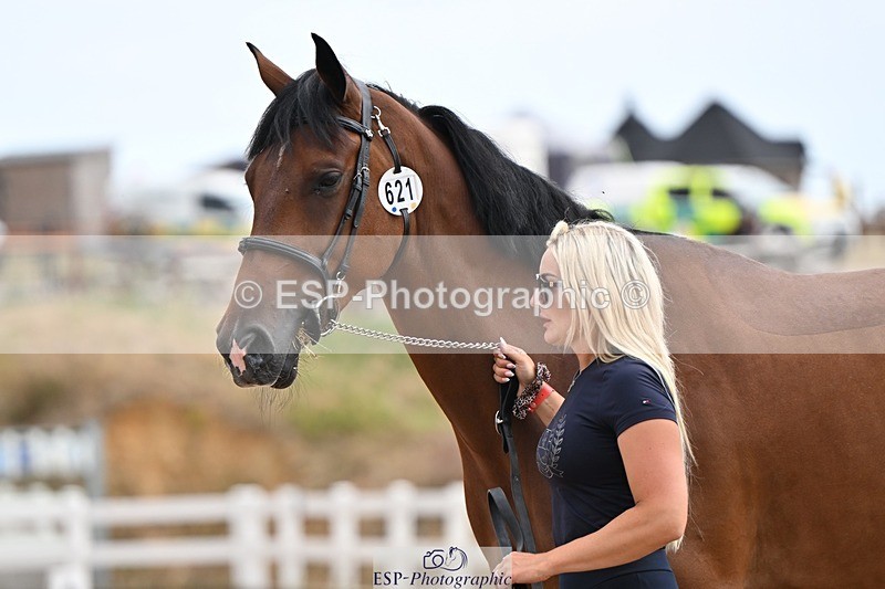 250716-145357-01490 - Trot Up 2.30 to 3.30