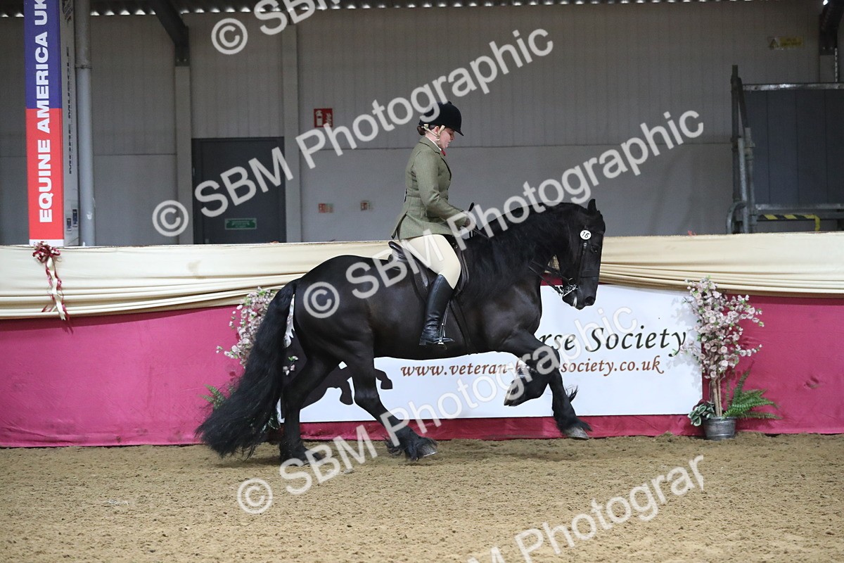 SBM_10393 - Class 102 Equitation (best rider) Adult