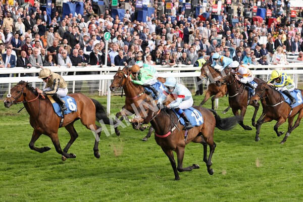 yr13052022r6-29 - Race 6 4.45pm Yorkshire Equine Practice Stakes