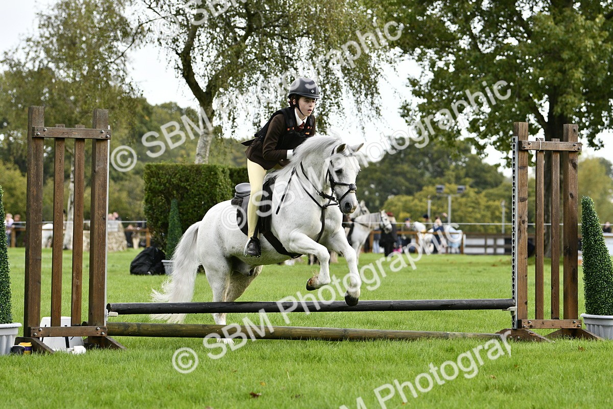 SBM_35427 - S30 - Nursery Stakes Working Hunter Pony