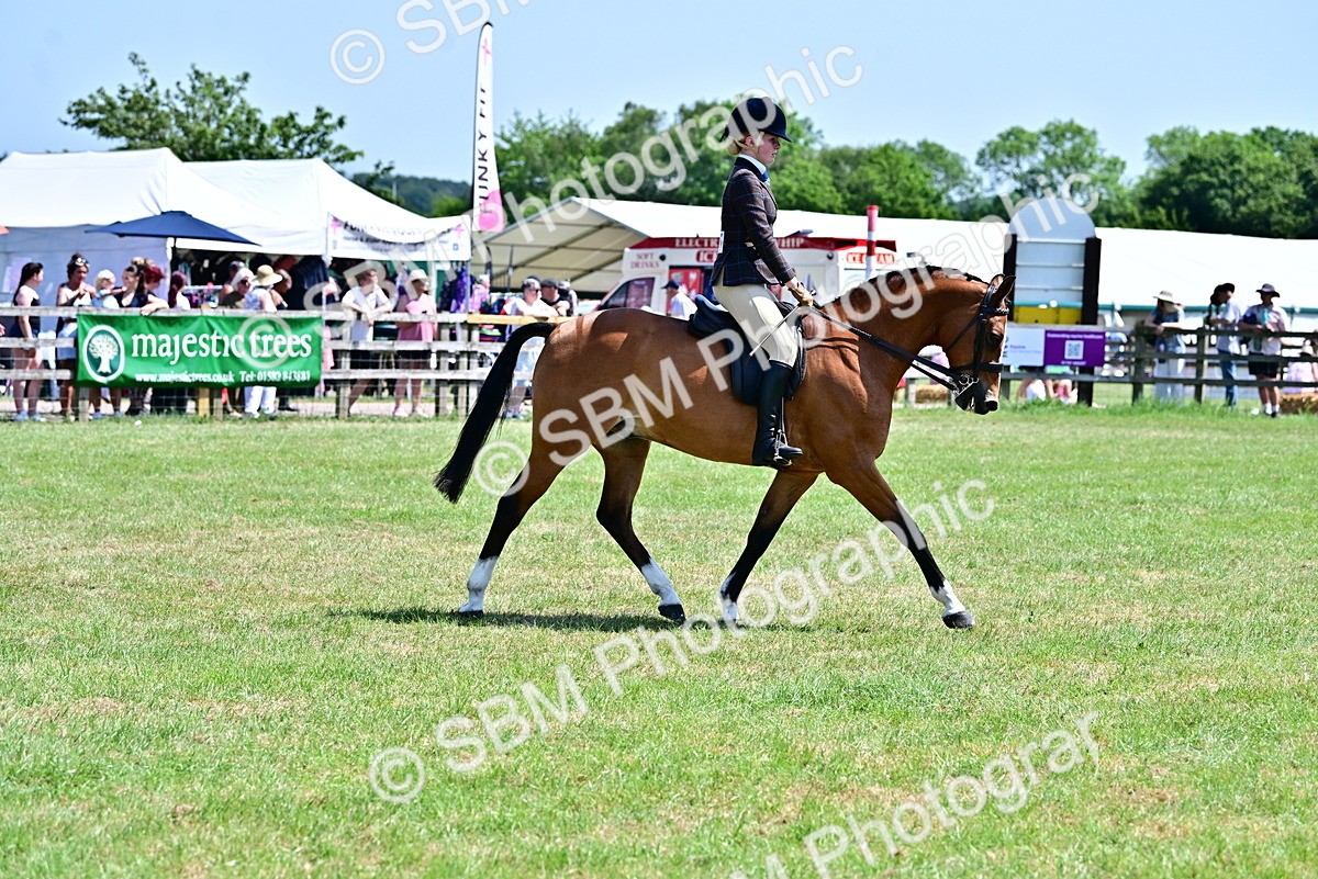 SBM_17418 - Class 95-97 - BSPS LHS Performance Ponies