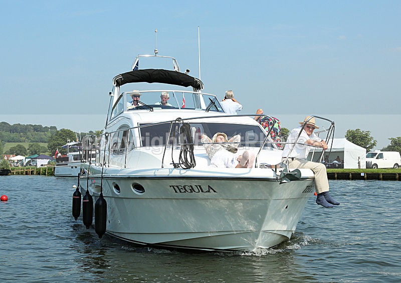 130705 TEGULA WT7A0162 - HENLEY ROYAL REGATTA - Friday 5th July 2013