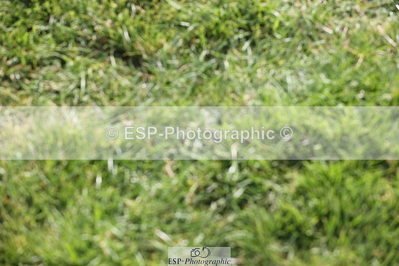 250704A-174539-12643 - Cls 18 Snr 1.40m Grand Prix