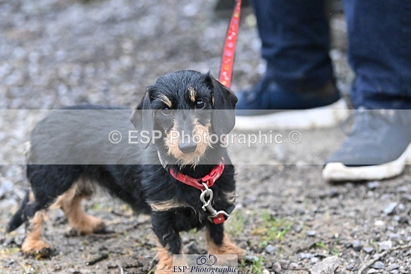 241206-144155-01117 - Naomi