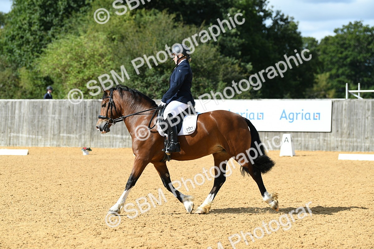 SBM_03146 - D7 Small Tour Championship Prelim 1