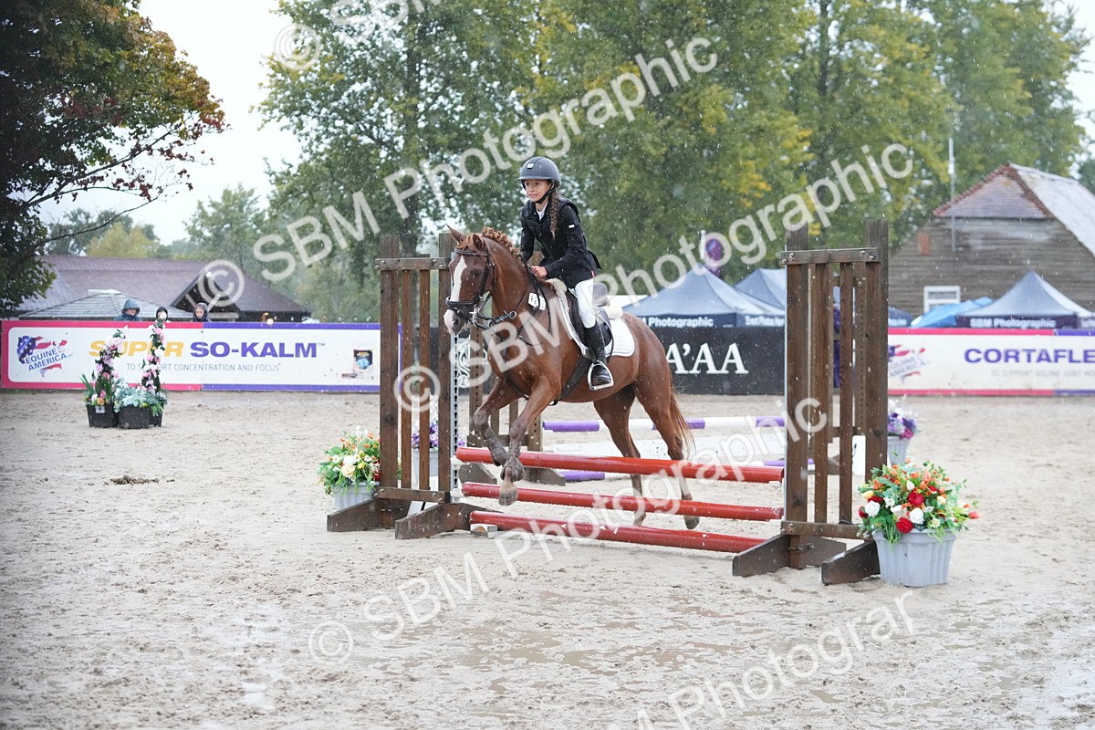 SBM_36193 - J5 - Junior Pony 50cm Championship