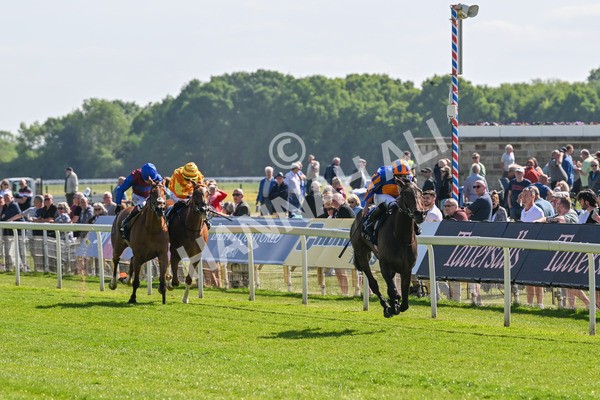 140525-Race 4-Whirl-2398 - Race 4 3.45pm Tattersalls Musidora Stakes