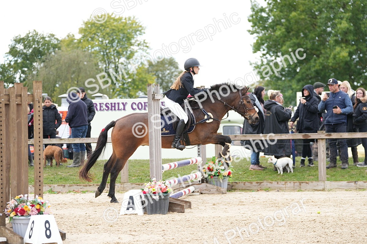 SBM_43410 - J7 - Junior Pony 60cm Championship