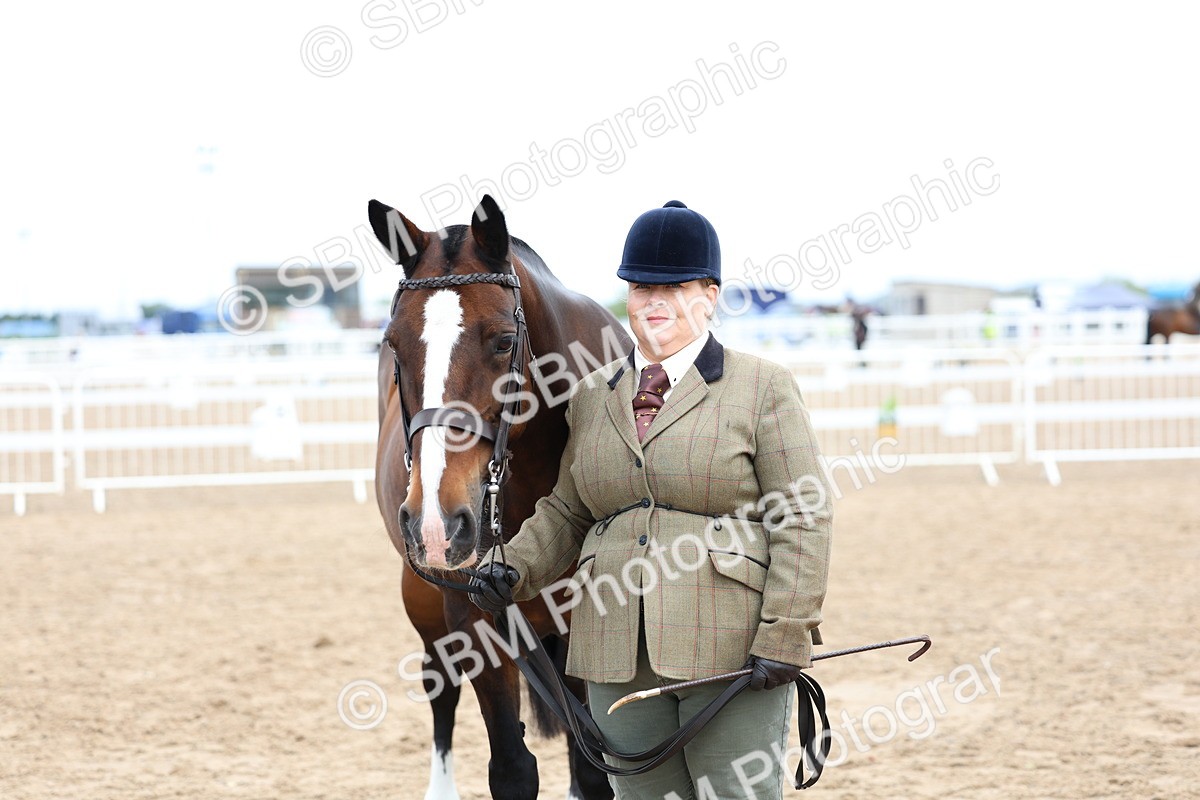 SBM_01478 - Class 17 - Prettiest Mare