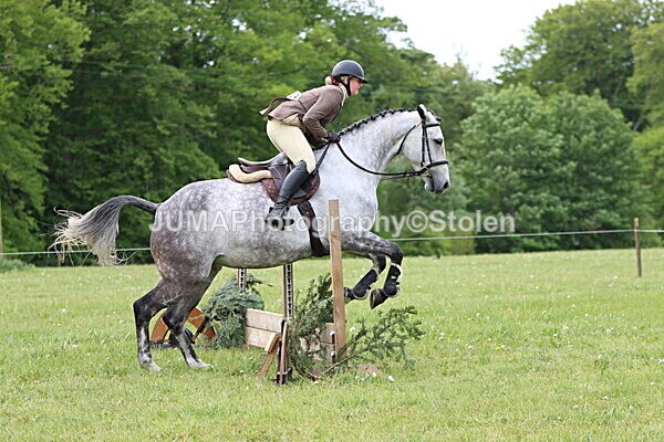 IMG_2768 - Working Hunter