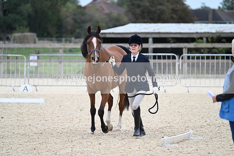 WJ7_1864 - Class 1 & Champs