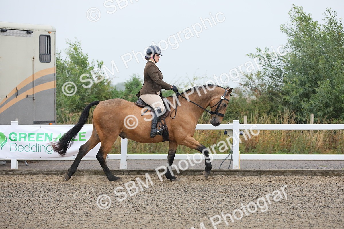 SBM_19862 - Class 801 - Ridden Veteran