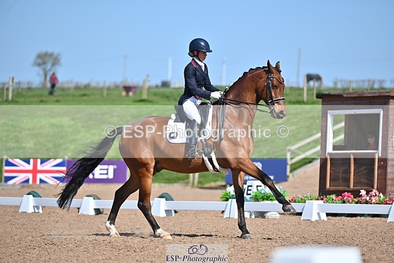 250405-130426-10834 - 028-Elizabeth.Allen-Heraldik