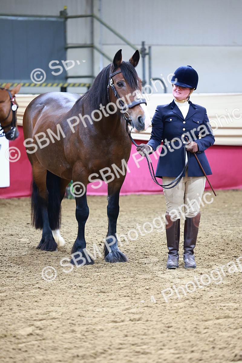 SBM_21810 - Class 901 - Supreme Final - IH  Diamond