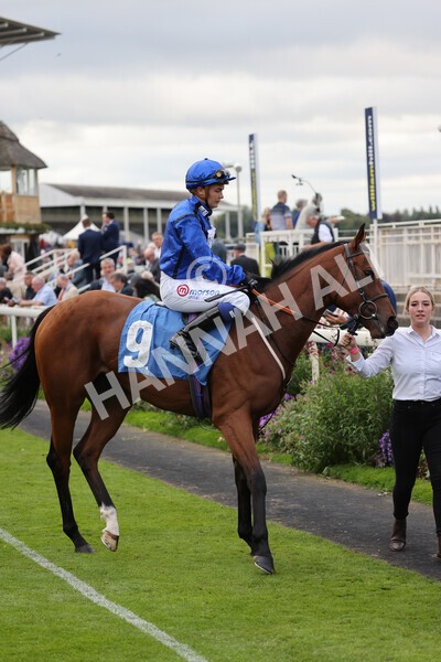 yr24092021r7-20 - Race 7 4.55pm William Hill Free or Four Fillies' Stakes