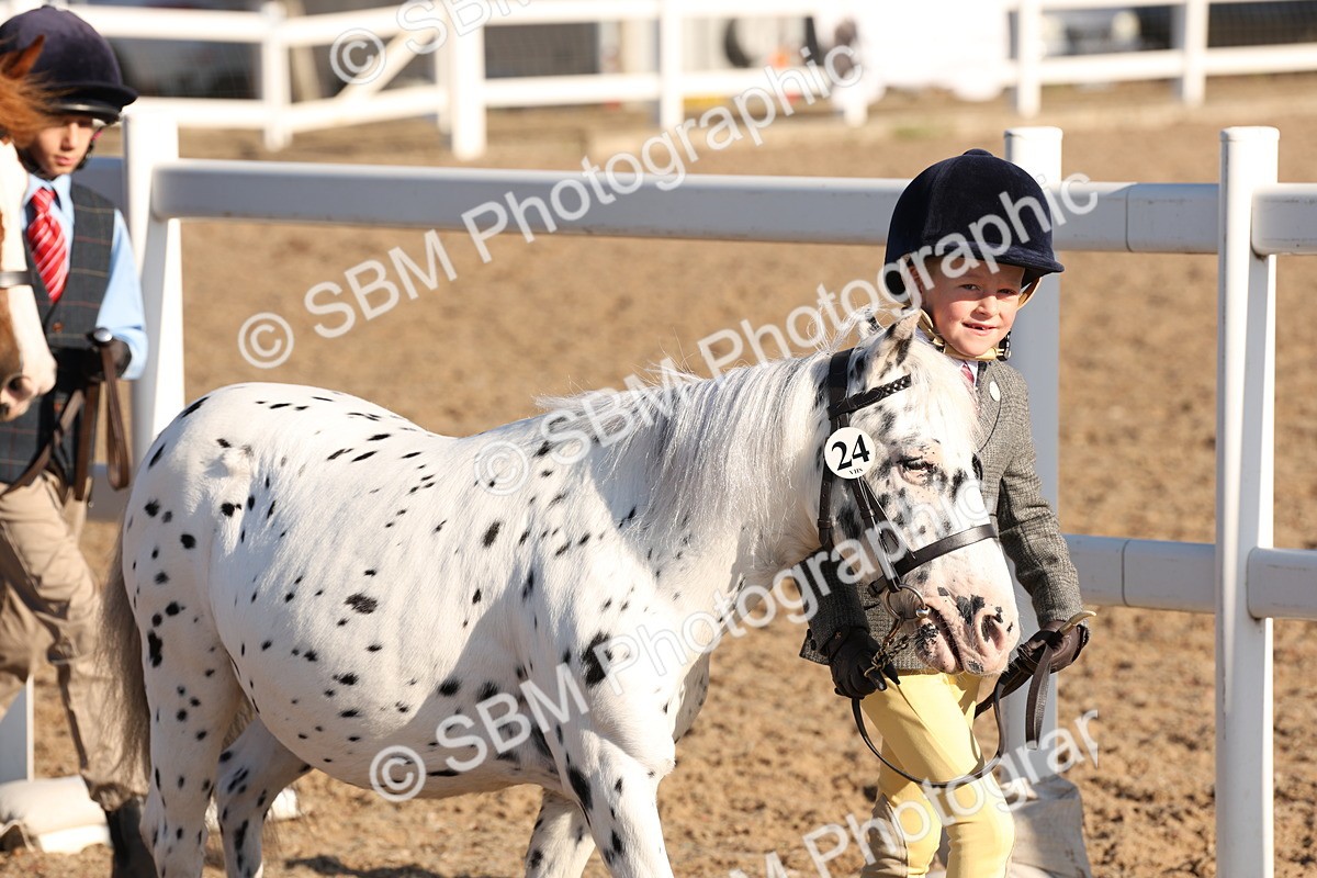 SBM_11620 - Class 203 - Young Handler 11 to 16 years