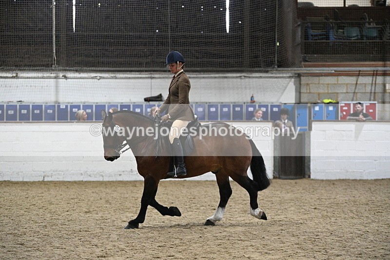 WJ7_3985 - Class 17 Ridden Cob