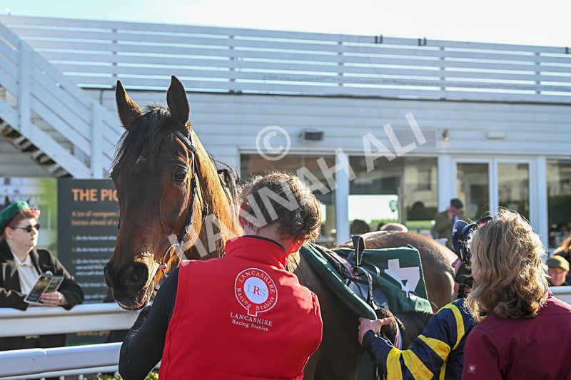 050325-Race 3-Ensel Du Perche-9563 - Race 3