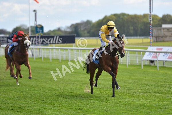 yr12052021r5-22 - Race 5 3.40pm Sky Bet Stakes