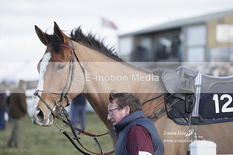 PtP 260223 1011 - South & West Wilts Point-to-Point Larkhill 26/02/23