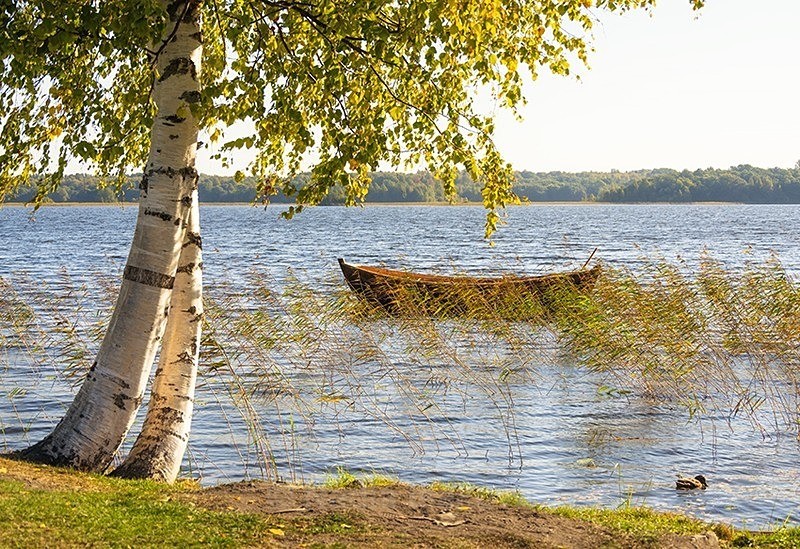  - Russia