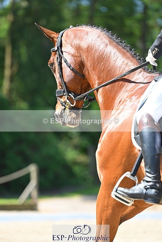 230526-113200-05779 - 468-FARNDON-Tom_Jackson-DR