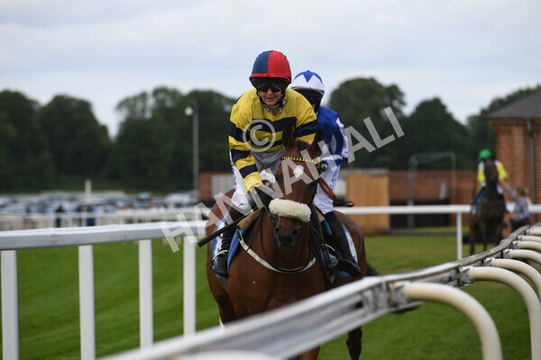 yr11062022r2-22 - Race 2 2.00pm Queen Mother's Cup