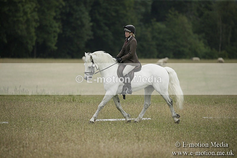 B230619-0350 - Bourne Valley Riding Club Summer Show 23/06/19