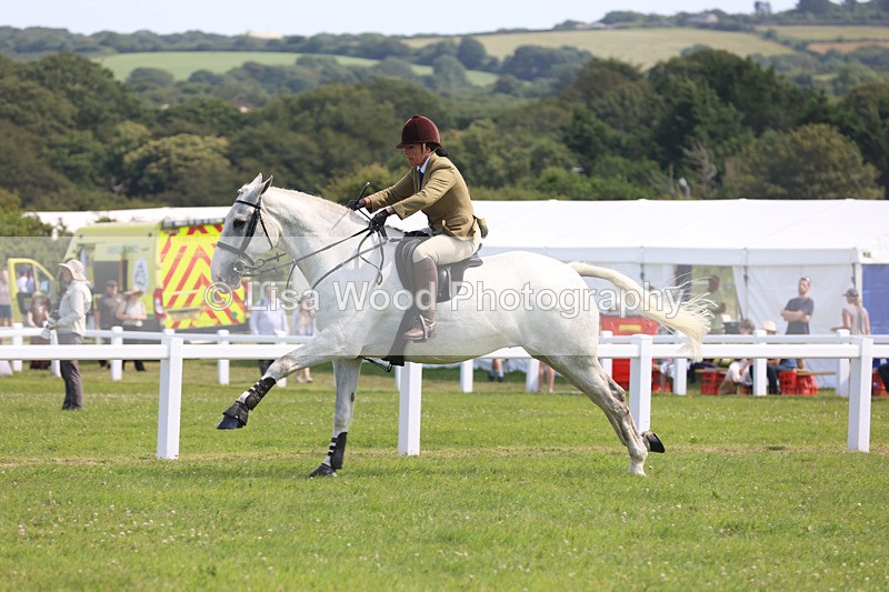 JPP_3673 - Class 23: Working Hunter 80cm