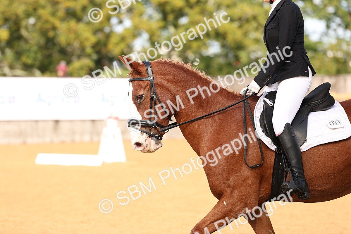 SBM_03537 - D1 - Small Tour Championship Intro 1