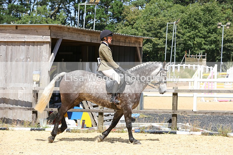 1X9A8800 - Class 19: Riding Club Horse