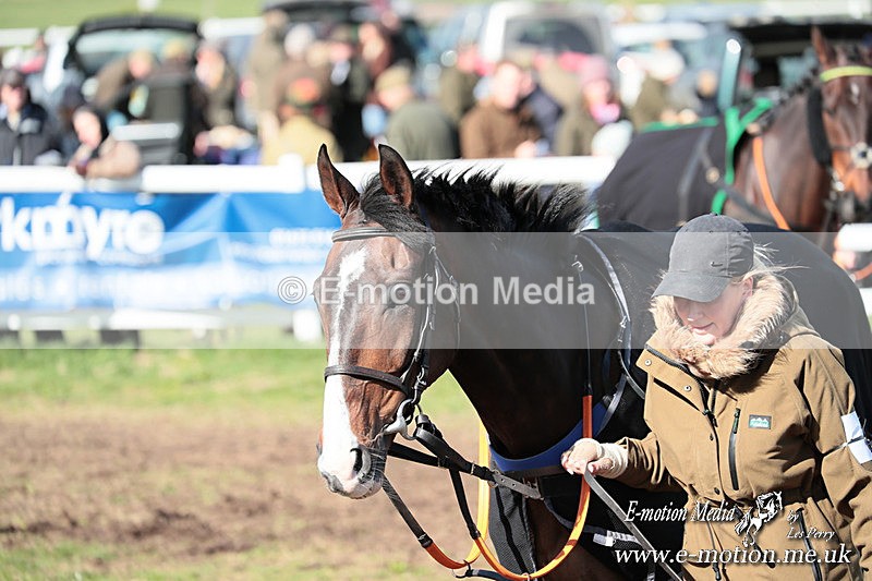 PtP 230324 631 - Tedworth Hunt PtP Larkhill Raccourse 23rd March 2024