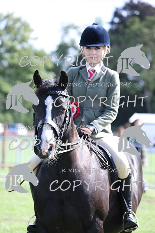 APP_3713 - Class 12 M&M ridden