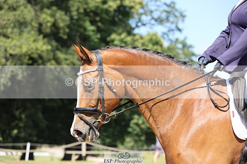 240719-104448-00779 - 183-Rachel_Brice-Im_Fine