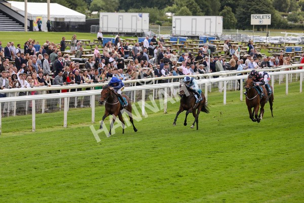 140624-Race 2-Inconspicuous-5549 - Race 2 2.25pm CGE Yorkshire Rous Selling Stakes