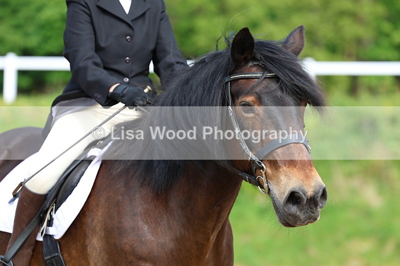 3E7A3288 - Class 1: INTRO sec A - Intro 3 2024