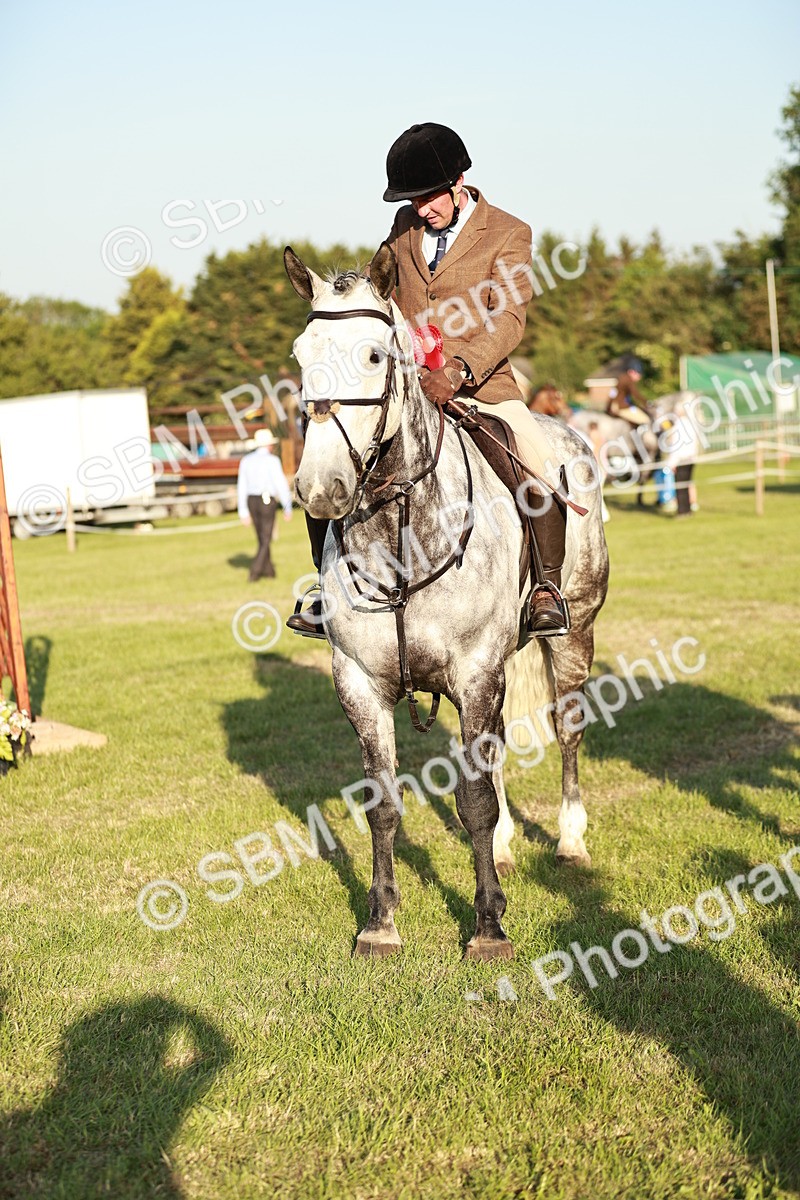 SBM_20571 - Class 117-119 - Sport Horse Working Hunter