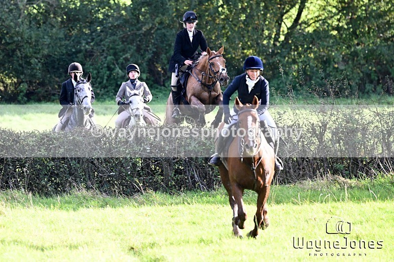 WJ6_5782 - Edited examples