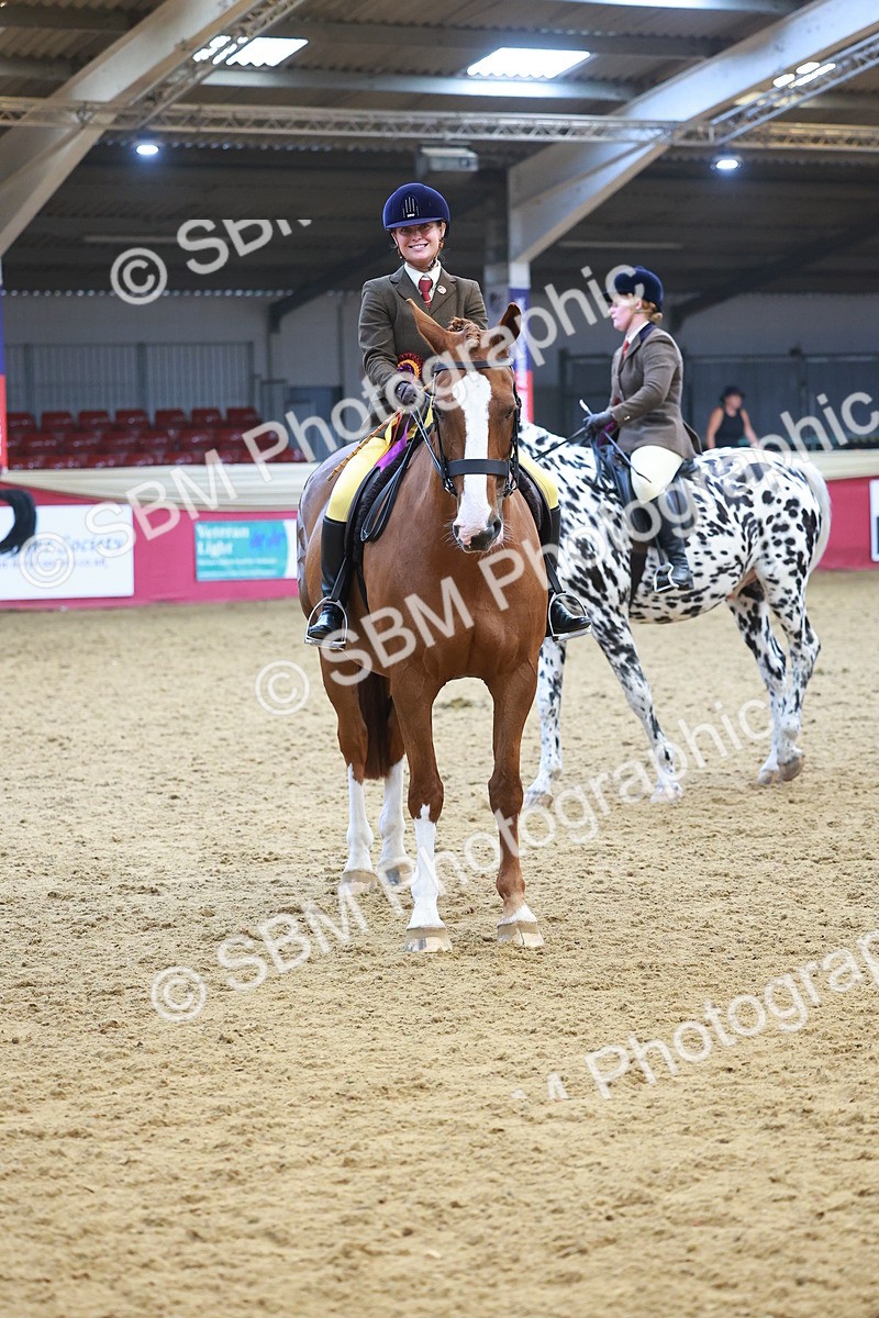 SBM_12701 - Class 103 - HOYS Veteran Qualifier - Ridden Pre Vet