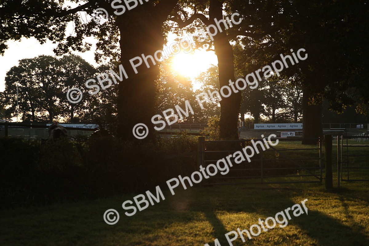 SBM_57767 - S42 - Youngstock