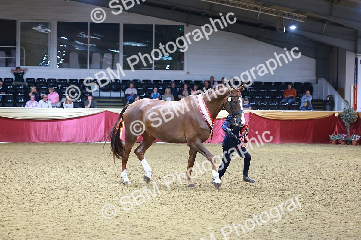 SBM_15015 - Class H - IH  Competition Riding Club Champ